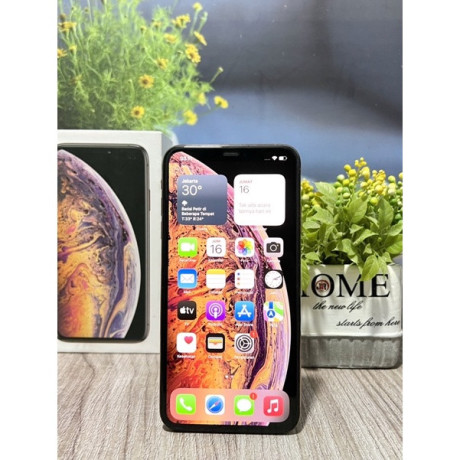 apple-iphone-xs-max-used-big-0