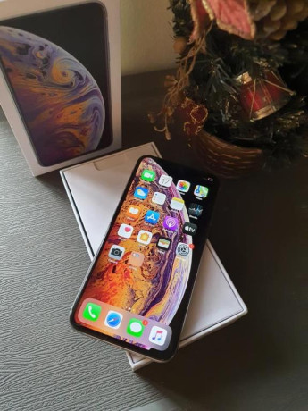 apple-iphone-xs-max-256-gb-used-big-0