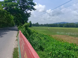 Land For Sell