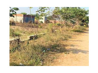 Land For Sell