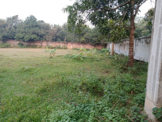 Land For Sell