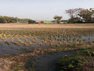 গাজীপুরে ১২.৫০ কাঠা জমি বিক্রি হবে