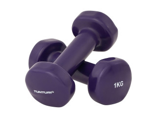 Vinyl Dumbbell 1 Kg with Pair Multicolour