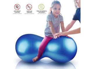 Gym Yoga therapy Ball- 75cm pimple with pumper